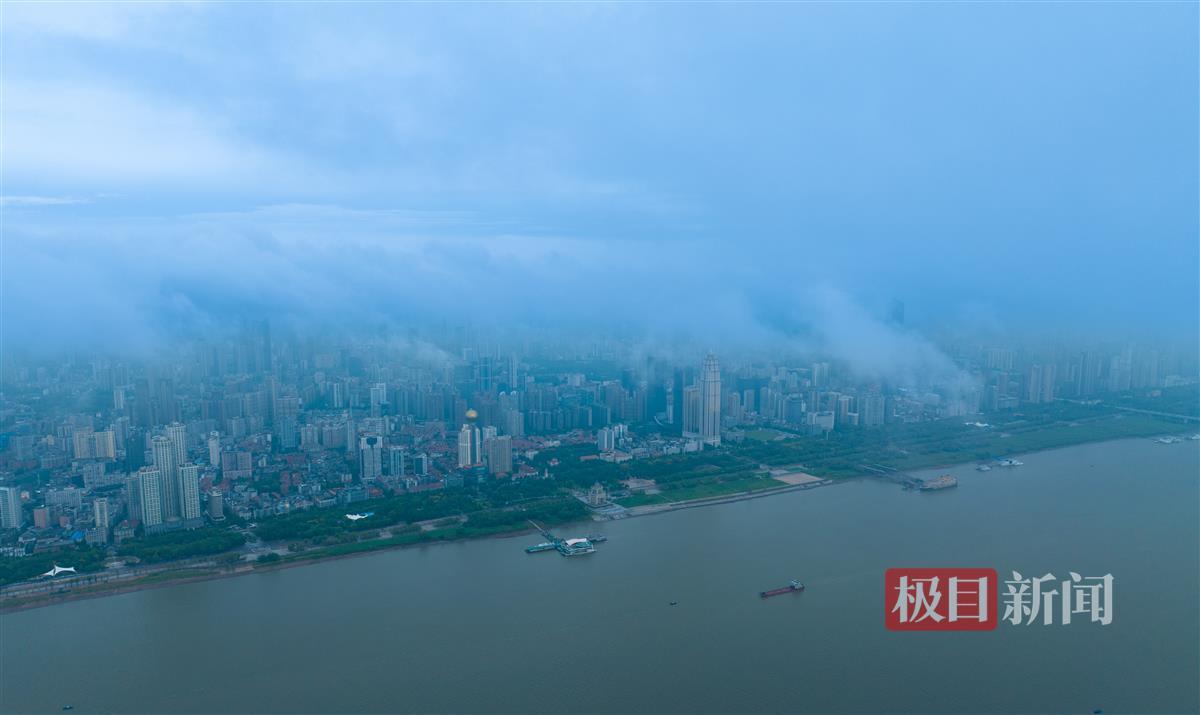 八达国际网址是多少
